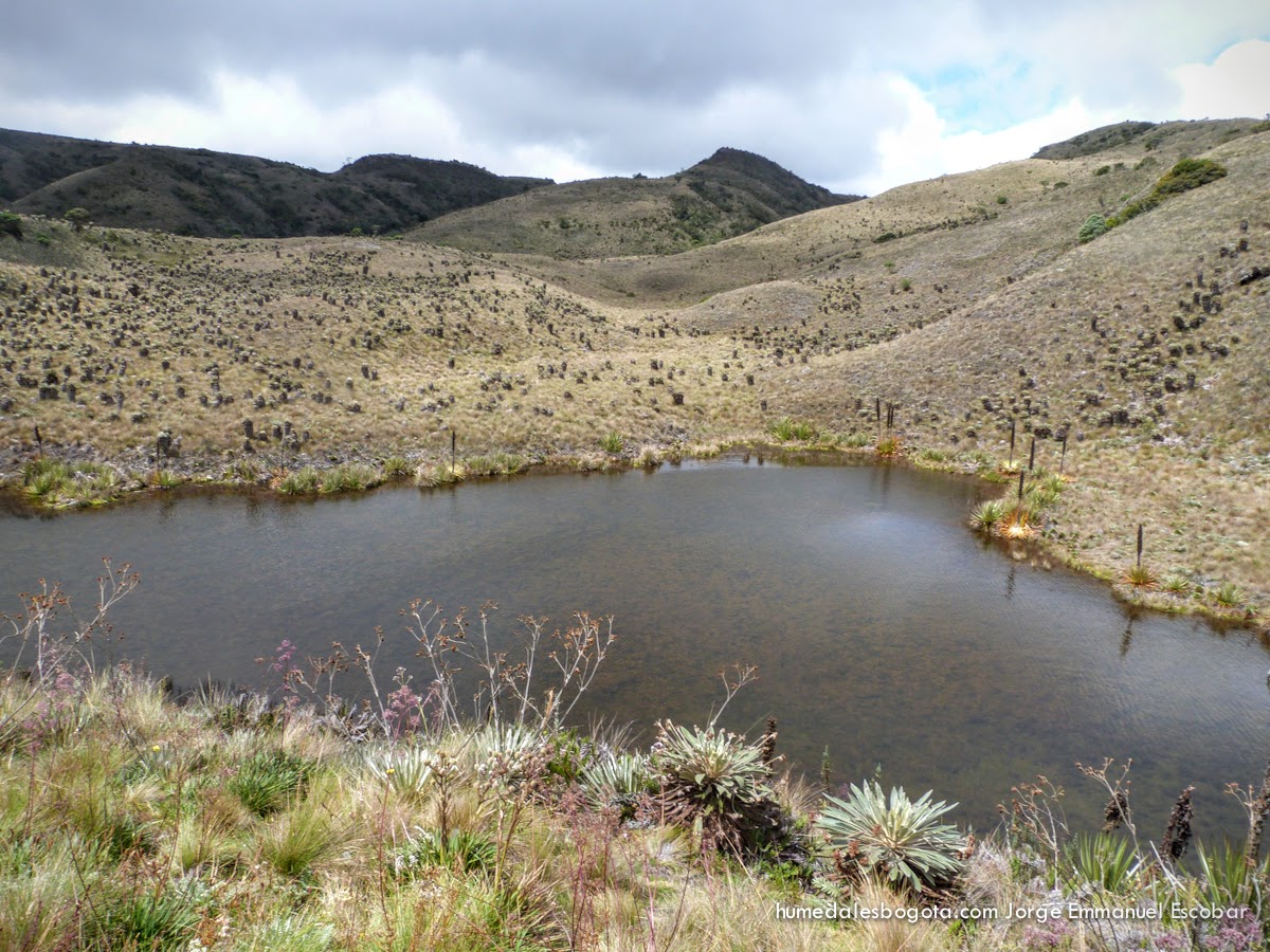 Páramo de Guacheneque