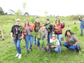 Siembra de árboles empresarial