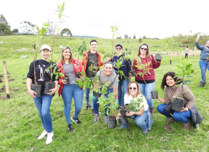 Siembra de árboles empresarial