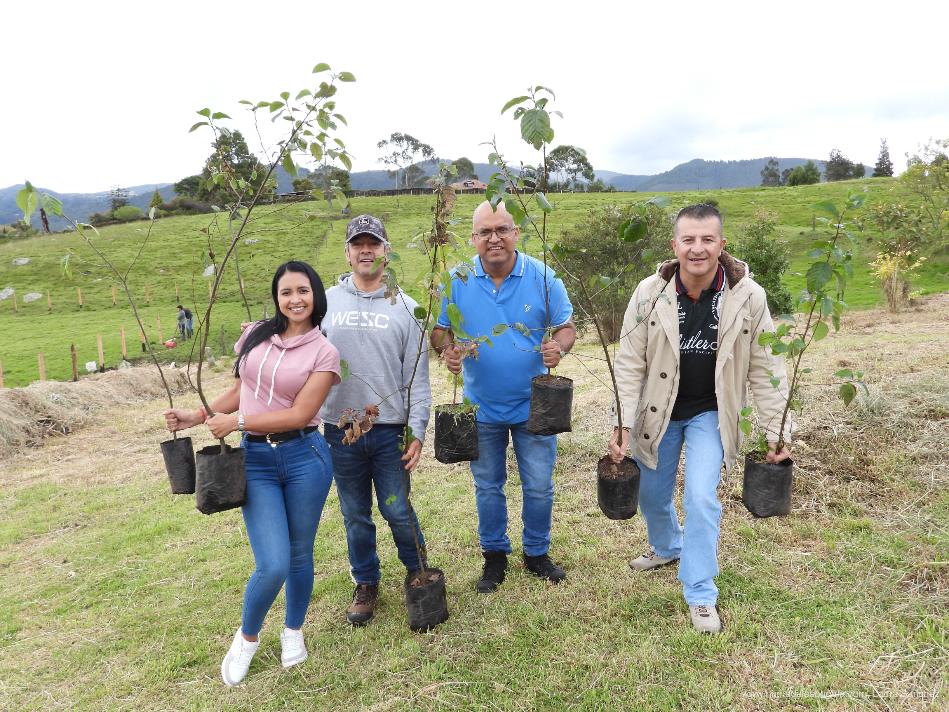 Siembra de árboles en el mes de mayo